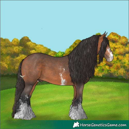 Horse Color:Bay Sabino 