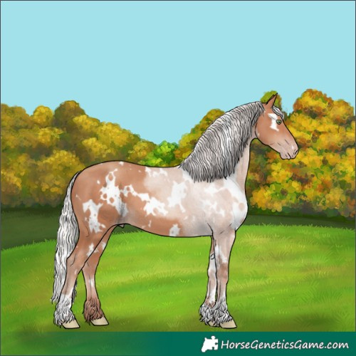 Horse Color:White Spotted Silver Sable Champagne