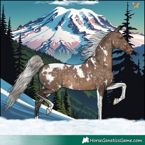 Horse Color:White Spotted Silver Brown Dun Tobiano Appaloosa Rabicano 