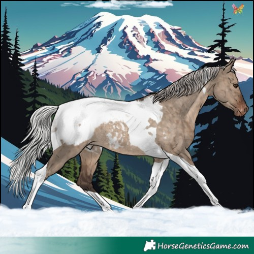 Horse Color:Silver Brown Dun Tobiano Appaloosa Rabicano Brindle