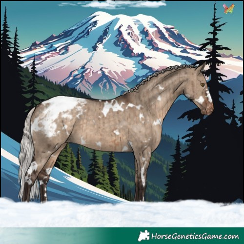 Horse Color:White Spotted Silver Brown Dun Appaloosa Brindle