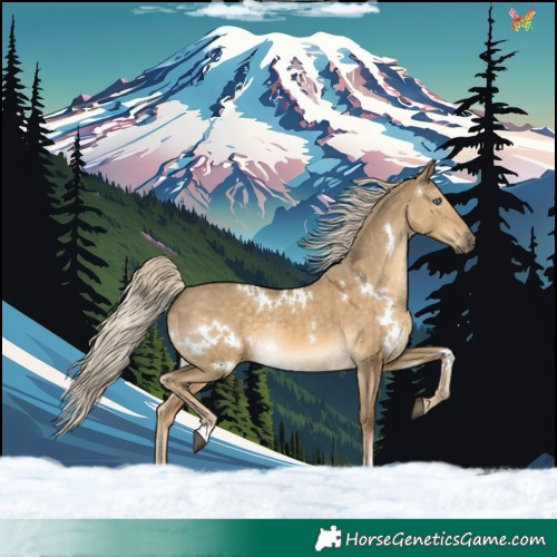 Horse Color:White Spotted Chocolate Palomino Dun Mushroom Rabicano 