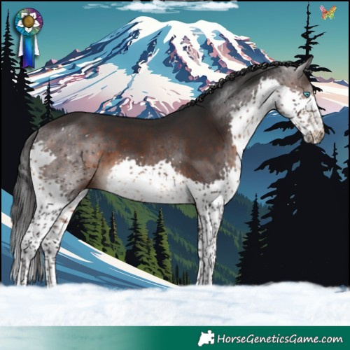 Horse Color:Brown Splash
