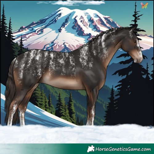 Horse Color:Powder White Liver Chestnut