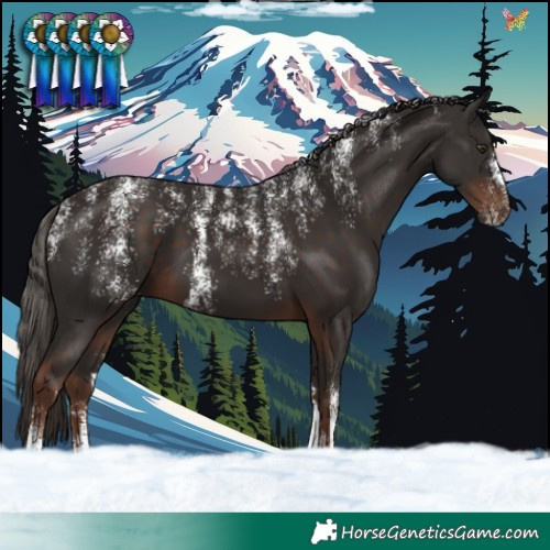 Horse Color:Powder White Liver Chestnut 