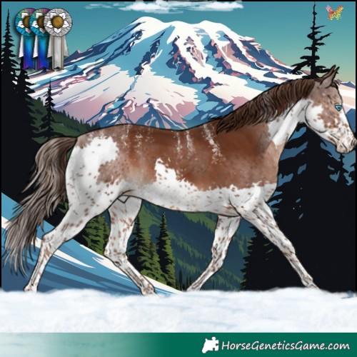 Horse Color:Powder White Liver Chestnut Splash