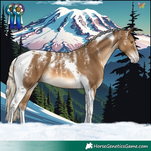 Horse Color:Powder White Chocolate Palomino Tobiano