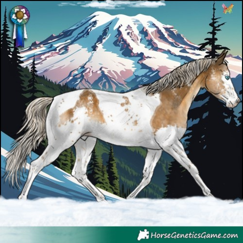 Horse Color:Powder White Chocolate Palomino Splash Tobiano