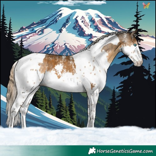 Horse Color:Powder White Chocolate Palomino Splash Tobiano 