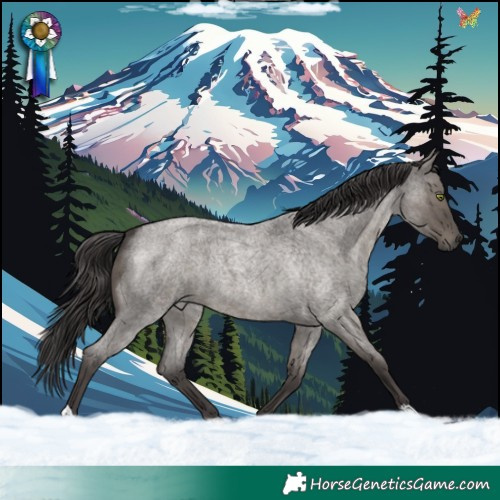 Horse Color:Smoky Grullo Roan