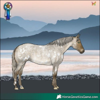 Horse Color:White Spotted Silver Buckskin Roan Dun Rabicano 