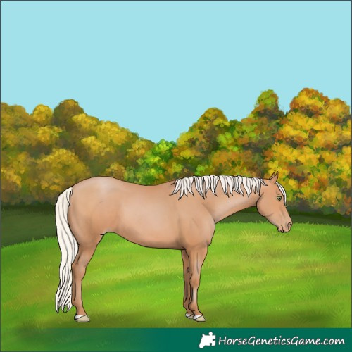 Horse Color:Silver Bay Pearl 