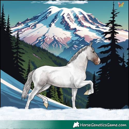Horse Color:Silver Brown Roan Tobiano Appaloosa Rabicano