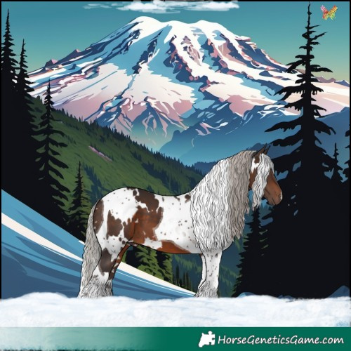 Horse Color:White Spotted Silver Brown Tobiano