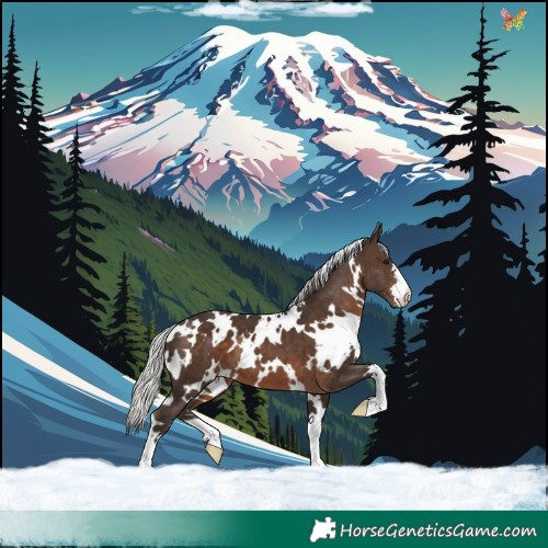 Horse Color:White Spotted Silver Brown 