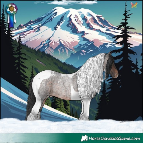 Horse Color:Brown Roan Tobiano Appaloosa Rabicano