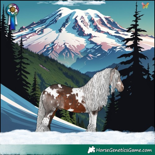 Horse Color:White Spotted Silver Brown Tobiano