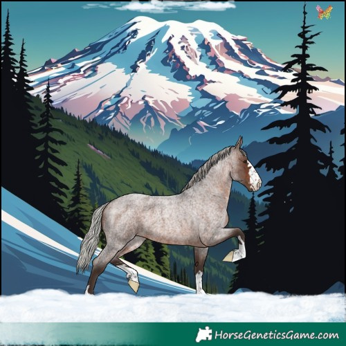 Horse Color:Silver Brown Roan 