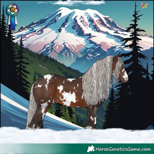 Horse Color:White Spotted Silver Brown