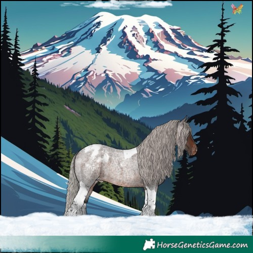 Horse Color:Silver Brown Roan Tobiano Appaloosa 