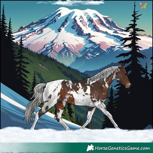 Horse Color:White Spotted Silver Brown Tobiano Appaloosa 