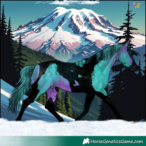 Horse Color:Powder White Void Watercolor Bay Splash Tobiano Skewed Appaloosa 
