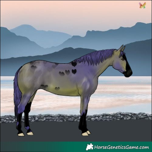 Horse Color:Void Watercolor Bay Splash 