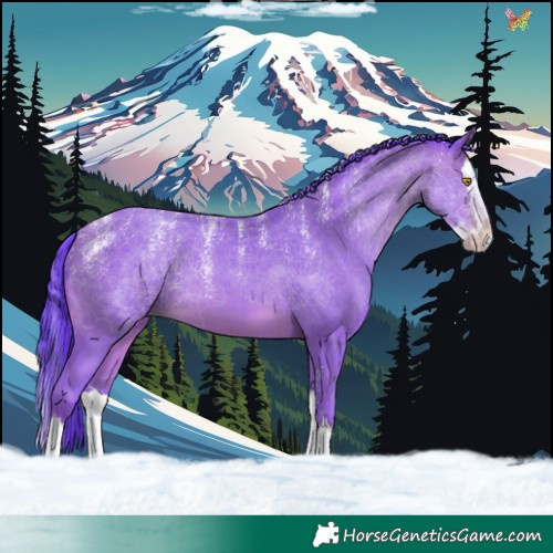 Horse Color:Powder White Watercolor Sable Champagne Splash