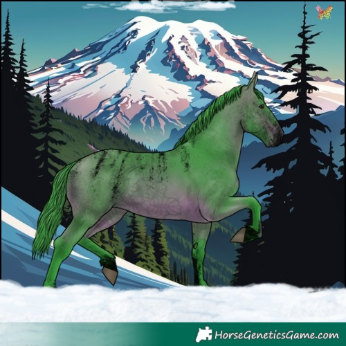 Horse Color:Powder White Void Watercolor Bay 
