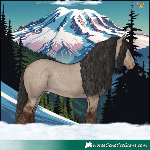 Horse Color:Liver Red Dun Skewed Appaloosa