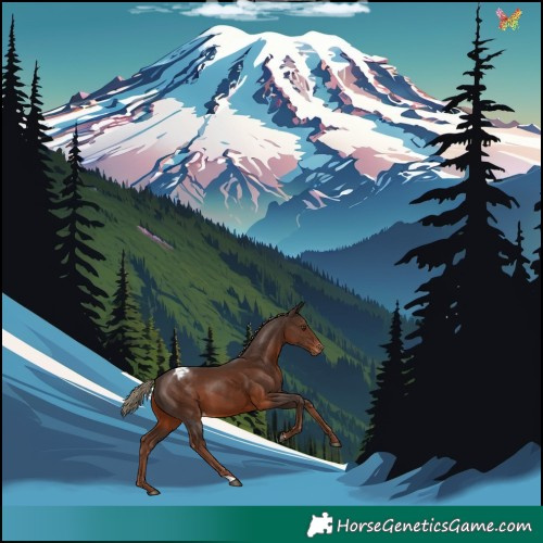 Horse Color:Liver Chestnut Skewed LP Spotted