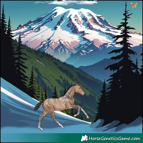 Horse Color:Powder White Amber Champagne