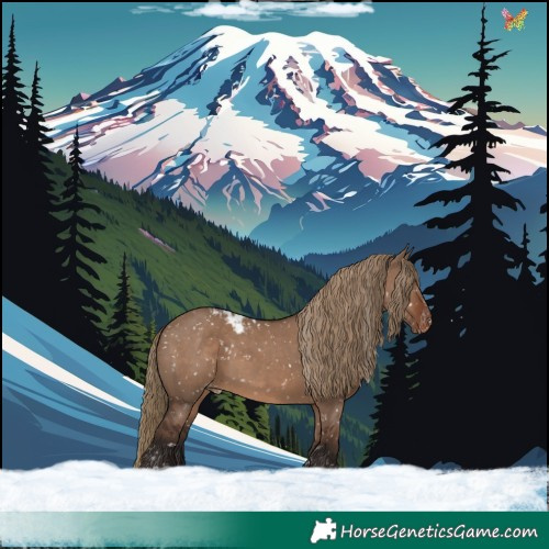 Horse Color:Liver Red Dun Skewed Appaloosa 