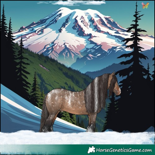 Horse Color:Powder White Brown Dun Skewed Appaloosa 