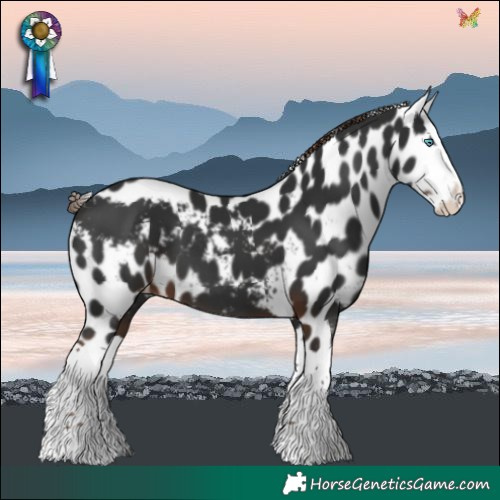 Horse Color:Liver Chestnut Splash Skewed LP Spotted 