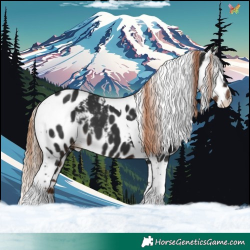 Horse Color:Liver Chestnut Tobiano Skewed Appaloosa