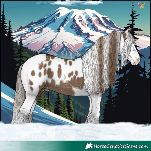 Horse Color:Liver Red Dun Splash Tobiano Skewed Appaloosa