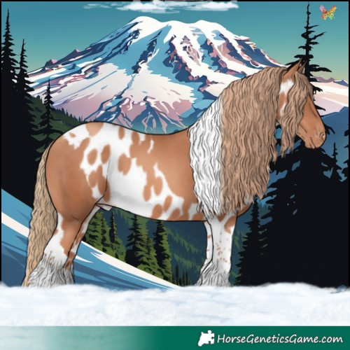 Horse Color:Gold Champagne Tobiano Skewed Appaloosa