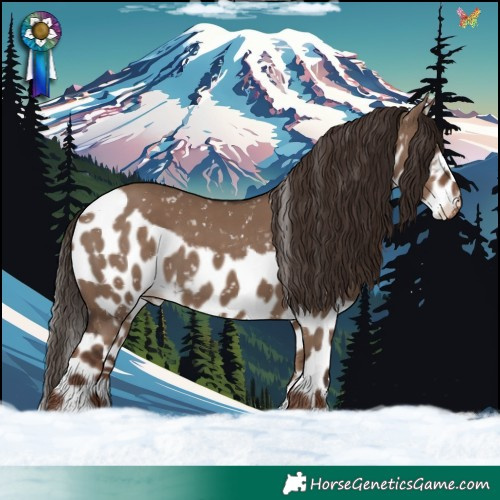 Horse Color:Liver Red Dun Skewed Appaloosa