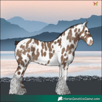 Horse Color:Liver Red Dun Tobiano Skewed LP Spotted