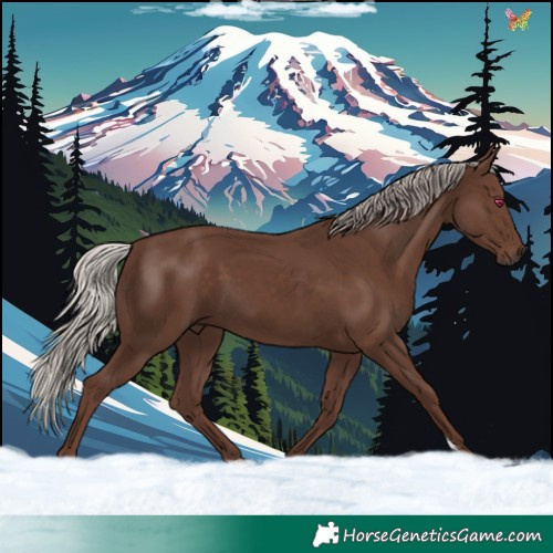 Horse Color:Silver Black Sabino Rabicano 
