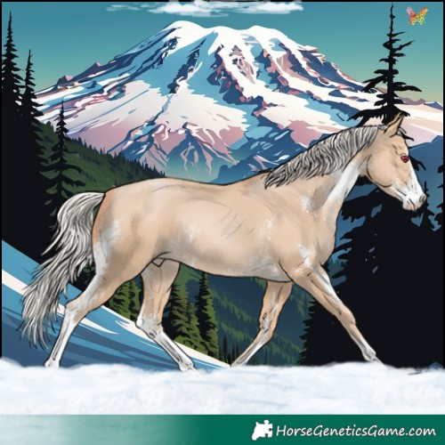 Horse Color:Silver Smoky Black Pearl Sabino Rabicano