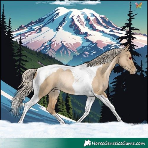 Horse Color:Chocolate Palomino Pearl Dun Tobiano Rabicano