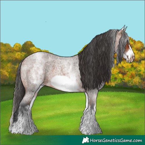 Horse Color:White Spotted Bay Roan Frame 