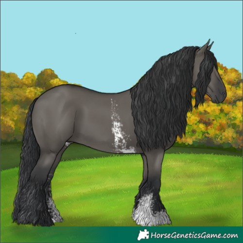Horse Color:Grullo Sabino Rabicano