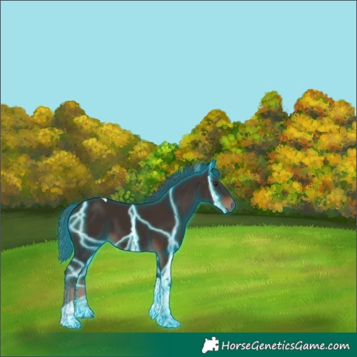 Horse Color:Thunderstruck Liver Chestnut Tobiano 