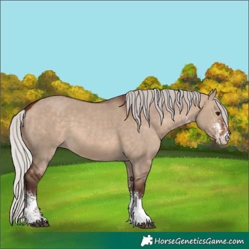 Horse Color:White Spotted Silver Bay Dun 