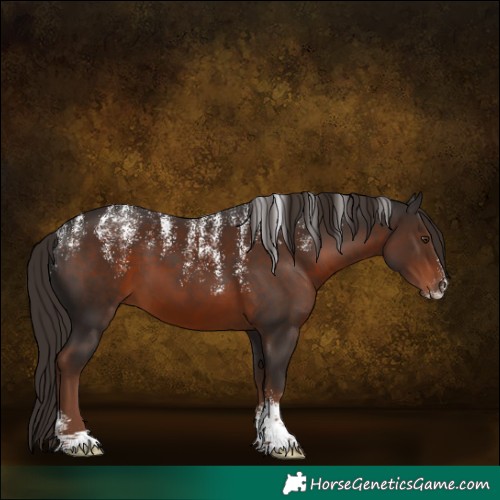 Horse Color:Powder White Liver Chestnut