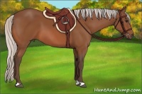 Horse Color:Silver Bay