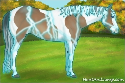 Horse Color:Thunderstruck Bay Dun Splash Tobiano